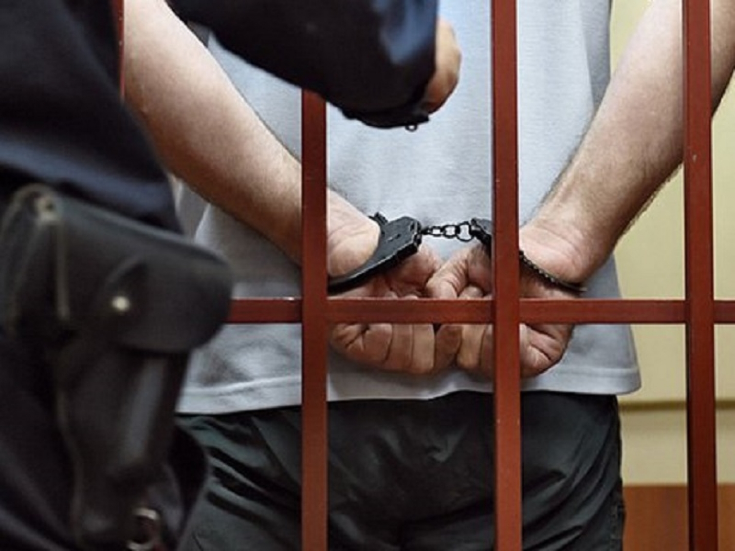 Задержанные за убийство семьи в Подмосковье признали свою вину
